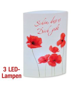 Paket 'LED-Papierlampen' 3 Ex.