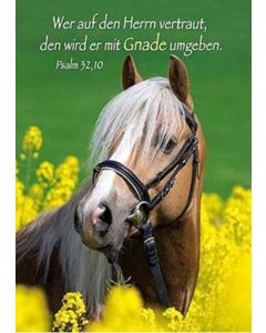 Kleinkärtchen-Serie 'Pferde' 12 Ex.