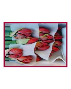 Faltkarte 6 Ex. 'Rote Tulpen'