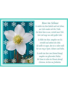 Faltkarte 6 Ex. 'Rose im Schnee'
