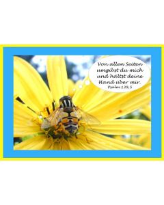 Faltkarte 6 Stück 'Blume/Biene'