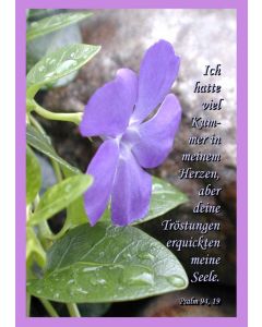 Faltkarte 6 Stück 'Violette Blüte'