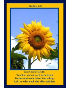 Faltkarte 6 Stück 'Sonnenblume/Himmel'