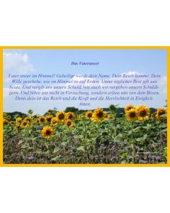 Faltkarte 6 Stück 'Sonnenblumenfeld'
