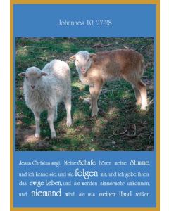 Faltkarte 6 Stück 'Meine Schafe hören'