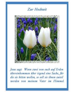 Faltkarte 6 Stück Zur Hochzeit 2 Tulpen