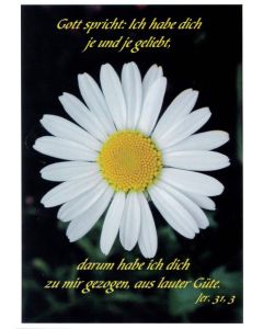 Postkarte 10 Stück 'Margeritenblüte'