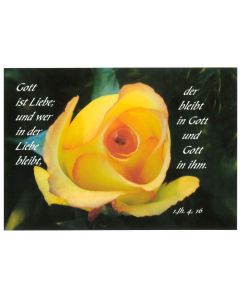 Postkarte 10 Stück 'Gelbe Rose'