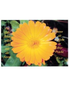 Postkarte 10 Stück 'Gelbe Blüte'