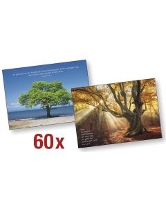 Paket 'Bäume-Postkarten' 60 Ex.