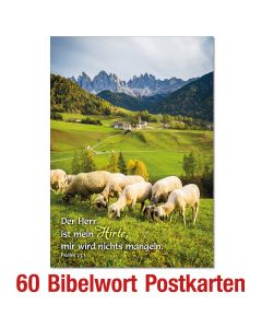 Paket 'Bibelwort-Postkarten' 60 Ex.