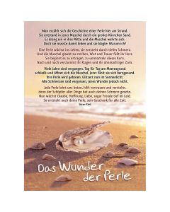 Postkarte 'Das Wunder der Perle' 4 Ex.