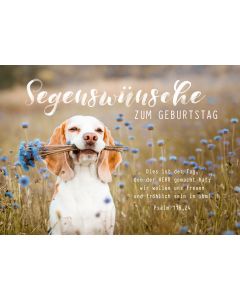 Postkarte 'Segenswünsche zum Geburtstag' 12x