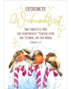 Postkarte 'Gesegnete Weihnachtszeit' 10 Ex.