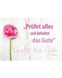 Postkarte 10 Ex. 'Prüfet alles und behaltet das Gute'