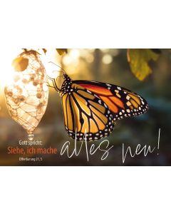 Poster A3 'Gott spricht: Siehe, ich mache alles..'