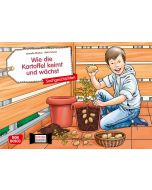 Wie die Kartoffel keimt und wächst. Kamishibai Bildkartenset.