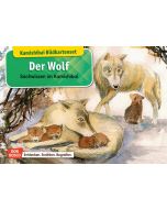 Der Wolf. Kamishibai Bildkartenset.