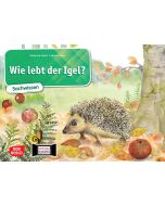 Wie lebt der Igel? Kamishibai Bildkartenset.