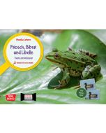 Frosch, Biber und Libelle. Tiere am Wasser. Kamishibai Bildkarten und Memo-Spiel
