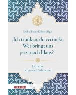 „Ich trunken, du verrückt. Wer bringt uns jetzt nach Haus?“