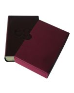 Evangelisches Gesangbuch - Leder/Rot mit Goldschnitt im Schuber