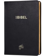 Schlachter 2000 Bibel - Standardausgabe (Kalbsleder-Ausgabe, flexibler Einband, Goldschnitt, schwarz)